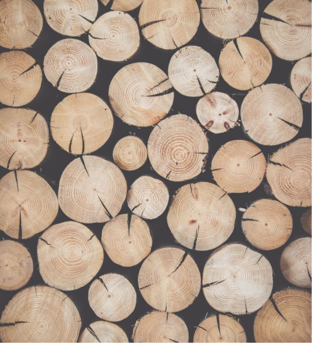 Drewno sosnowe - odpady z jego obróbki stanowią pierwotny surowiec do produkcji pelletu Feniks Pellets