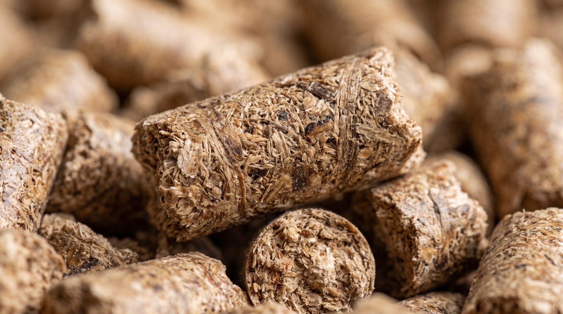 Pellet w bliskim planie